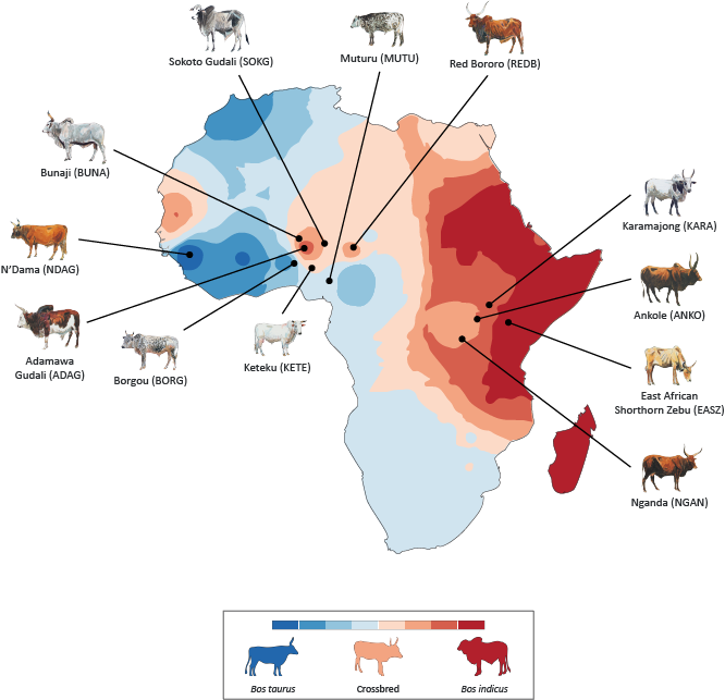 Population Genomics